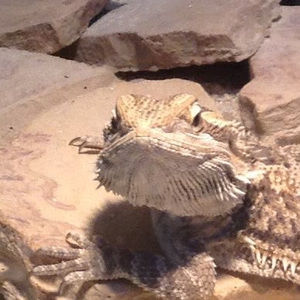 Meet your Posher, Mitchell